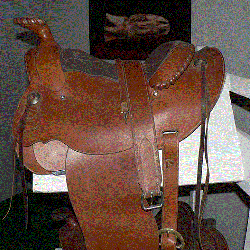 موزه اسب ایران